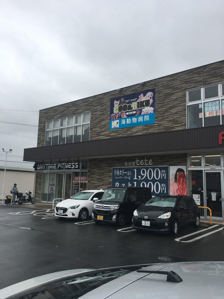 エニタイムフィットネス フォレストシティ春日店