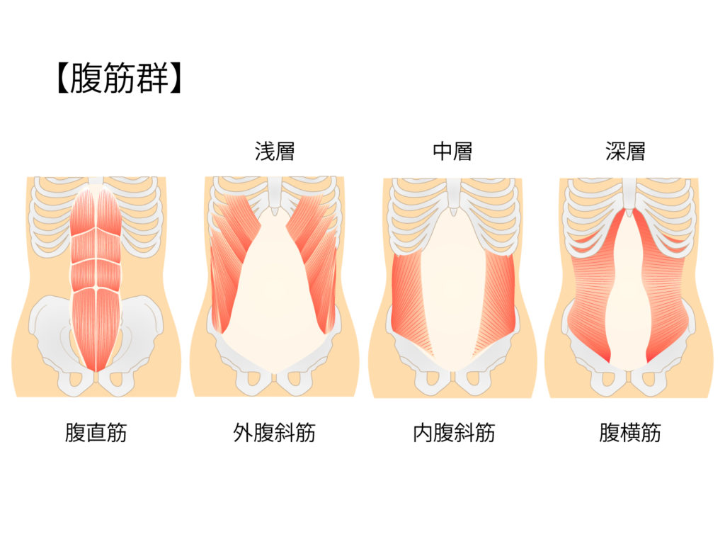 筋トレで腹筋だけしても痩せない理由とその解決法教えます Babablog トレーナー歴10年 私が見てきたフィットネス業界