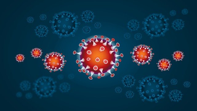 免疫力の画像検索結果